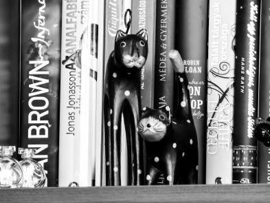 bookshelf-2005284_1920