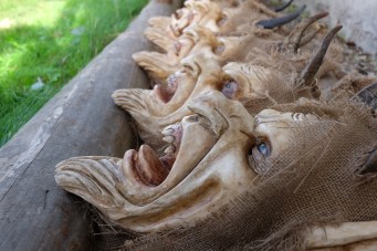 krampus-1086082_1920