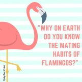 23561602_1561784070583023_4289321411847531682_n